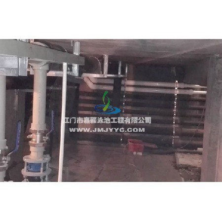 五邑碧桂園私人別墅室內恒溫游泳池